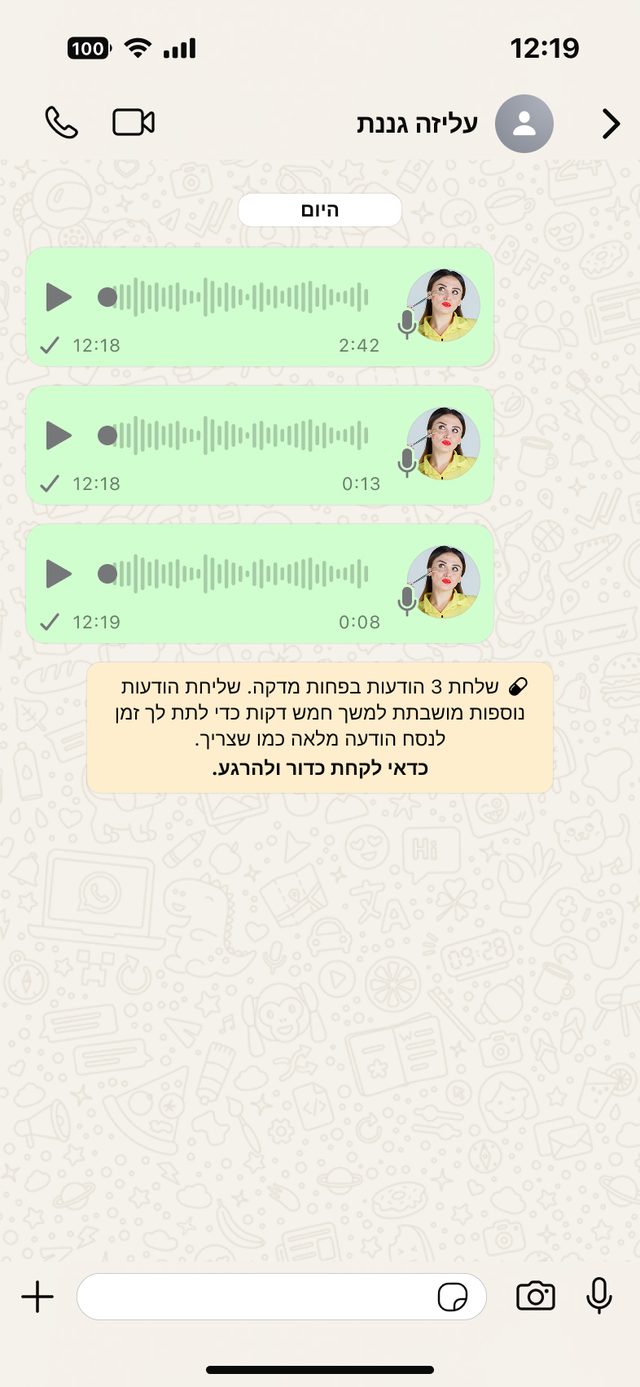 צילום מסך: צרור הודעות קוליות